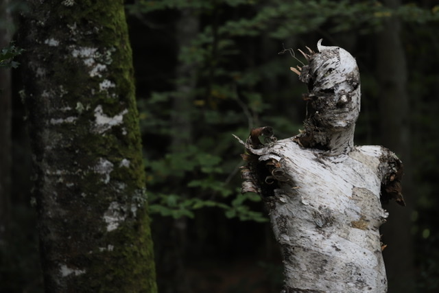 Siamoirbre1 sculpture 2021Carole Chausset -photos Stéphanie Gavard