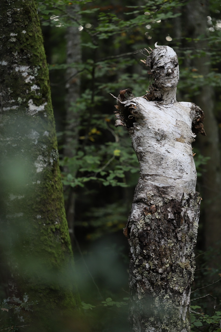 Siamoirbre 1, sculpture 2021 , Carole Chausset , photos Stéphanie Gavard