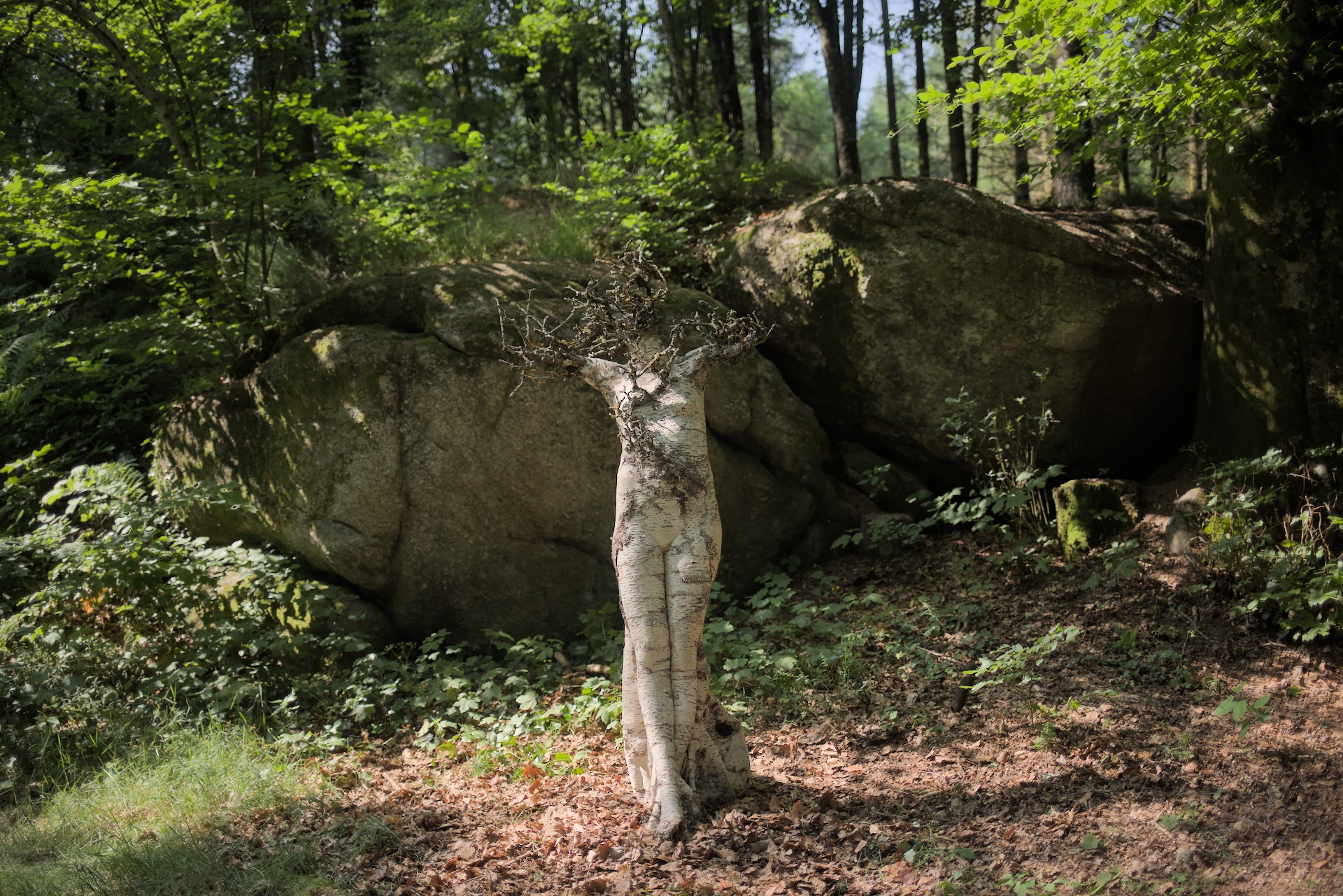 Symbiose, sculpture en écorce de bouleau imputrescible et branches de pommier , Carole Chausset création 2023, collage et marouflage, 2m/1m/1m, série Les Écorcés, photo Franck Galbrun.